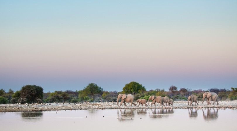 Muslim-friendly Tanzania safari