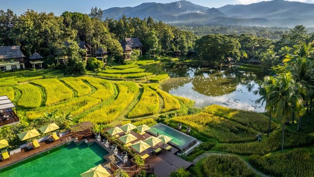 Rice terrace view of Four Seasons Chiang Mai