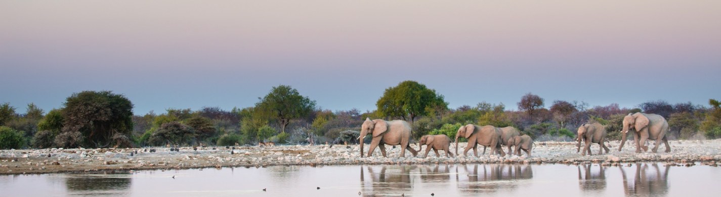 Muslim-friendly safari holiday in Tanzania