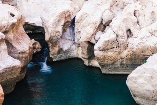 wadi in Oman
