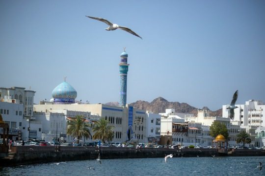 View of Mutrah corniche with a mosque and birds